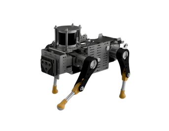 Quadruped Robot in field