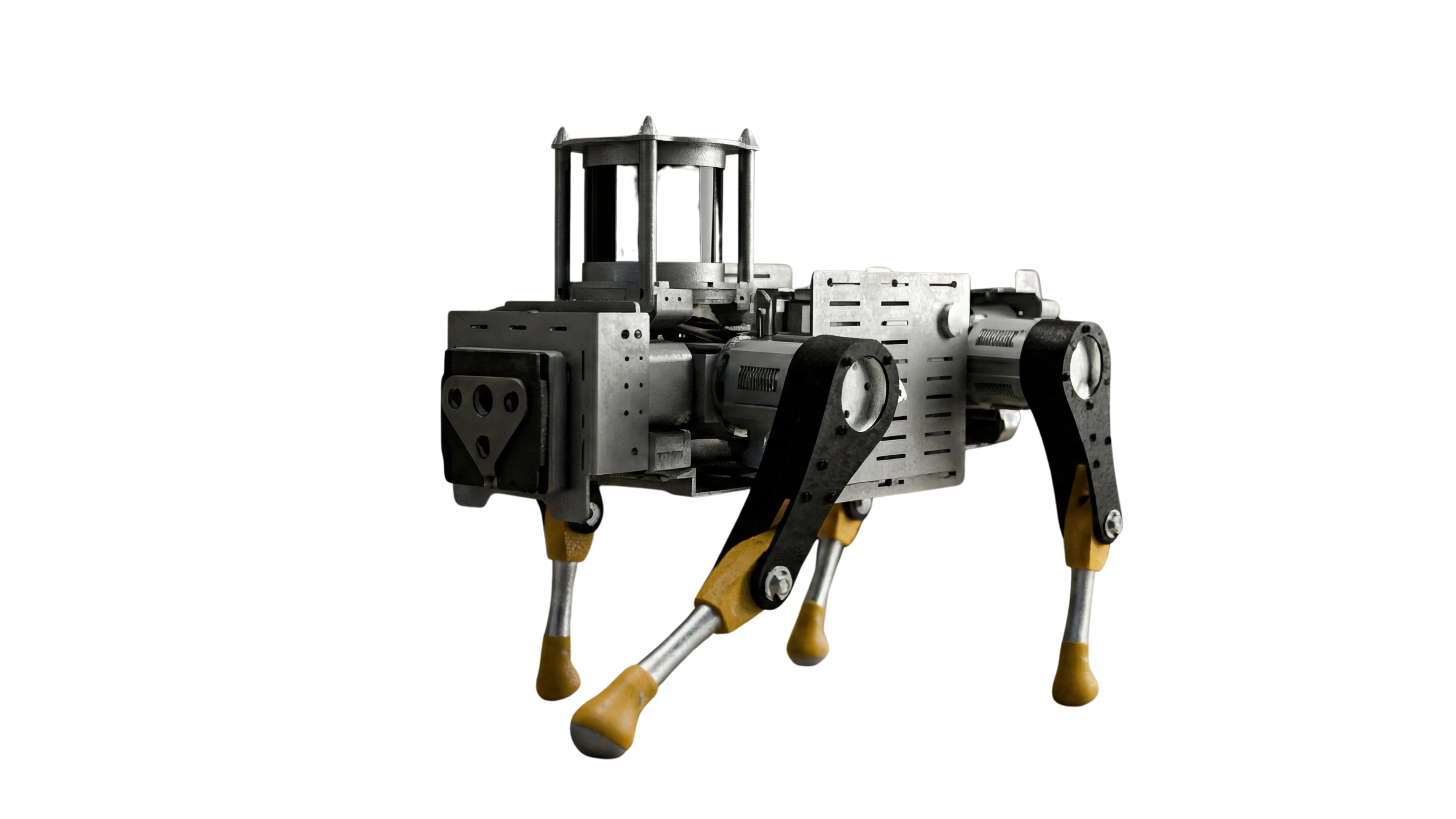 Quadruped Robot